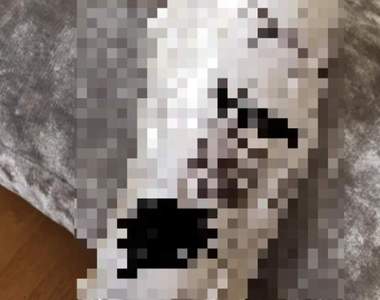 另類網購意外《情趣用品包裝災難》包裝太明顯讓人一看就知道買什麼...