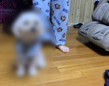 製作法出乎預料的《寵物親子衣》想跟毛孩穿一樣的衣服一點都不難