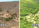 巴西攝影師《花20年造林的結果》對比圖 把荒地變成動物的天堂 巴西攝影師《花20年造林的結果》對比圖 把荒地變成動物的天堂