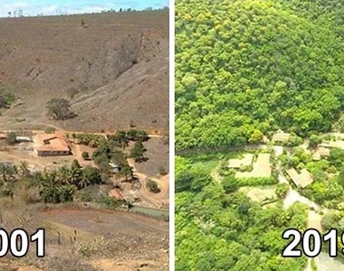 巴西攝影師《花20年造林的結果》對比圖 把荒地變成動物的天堂