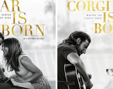 如果《把電影海報主角換成柯基》給你錢快點拍www