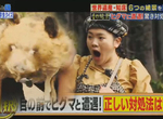 《北海道旅遊冷知識》超近距離遇到棕熊怎麼辦?專家的答案讓人吐槽難接受…… 《北海道旅遊冷知識》超近距離遇到棕熊怎麼辦?專家的答案讓人吐槽難接受……