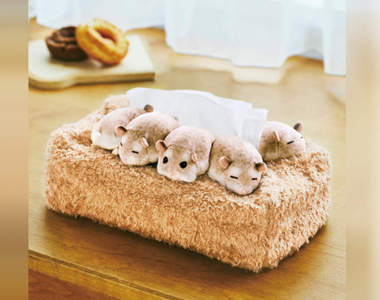 《倉鼠面紙盒》每抽一張面紙都可以被這圓滾滾的畫面給療癒到