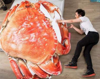 就是愛海鮮《螃蟹被子》以後睡覺流口水終於有藉口可以說惹XD