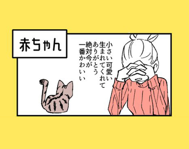 貓奴絕對懂《貓最可愛的時期》從幼貓到老貓，飼主覺得最可愛的時期原來是？