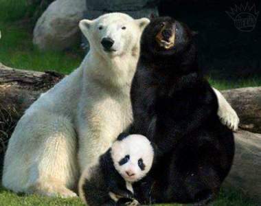 嘴角失守《很難忍住不笑的GIF》超白爛第二集挑戰一下到第幾張才笑出來XD