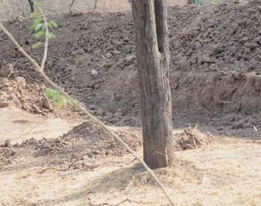 推特話題《你找的到豹在哪嗎?》考驗眼力的遊戲永遠有話題w