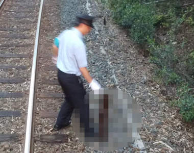 《日本電車珍奇誤點理由》鐵軌上影響運行的不速之客沒想到竟然是它...