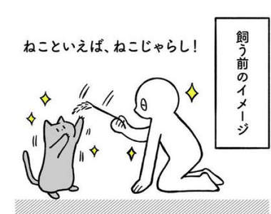 《養貓前後的幻想與現實》為什麼我家貓的行為模式都跟我以為的貓不一樣呢?...