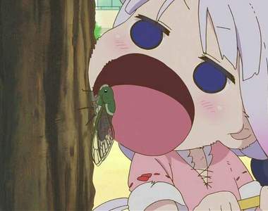 《人肉搜索的可怕》一張蟬照片讓住家3分鐘曝光 拍照分享千萬要小心……