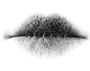 第一眼心理測驗：你看到的是嘴唇、森林還是樹根？