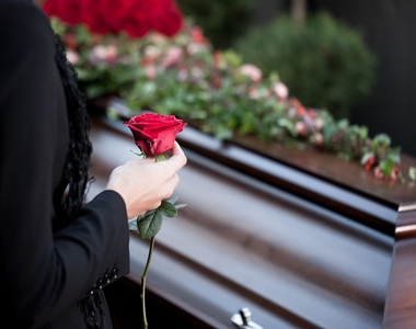 另類傳家寶《家傳恐怖故事》每年的這一天都會有人生病或是離奇死去...
