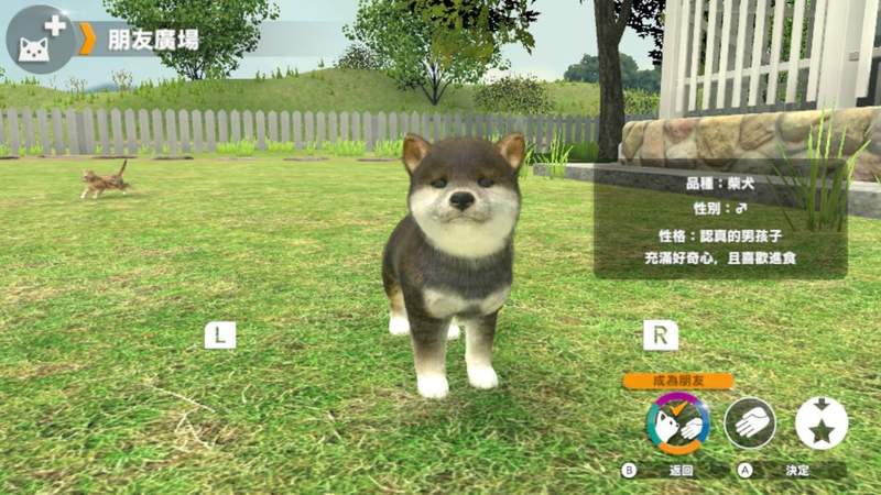 【有片】Switch《小小伙伴 - 狗狗 & 猫猫 -》超萌毛小孩模拟养成游戏,中文版4月25日上市 - 图片4 【有片】Switch《小小伙伴 - 狗狗 & 猫猫 -》超萌毛小孩模拟养成游戏,中文版4月25日上市
