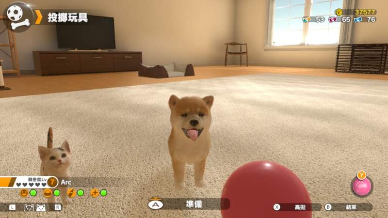 【有片】Switch《小小伙伴 - 狗狗 & 猫猫 -》超萌毛小孩模拟养成游戏,中文版4月25日上市 - 图片7 【有片】Switch《小小伙伴 - 狗狗 & 猫猫 -》超萌毛小孩模拟养成游戏,中文版4月25日上市