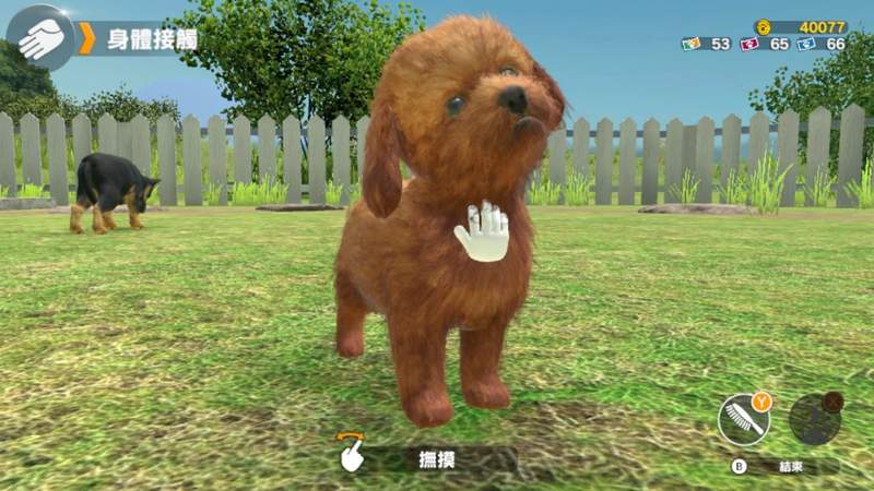 【有片】Switch《小小伙伴 - 狗狗 & 猫猫 -》超萌毛小孩模拟养成游戏,中文版4月25日上市 - 图片6 【有片】Switch《小小伙伴 - 狗狗 & 猫猫 -》超萌毛小孩模拟养成游戏,中文版4月25日上市