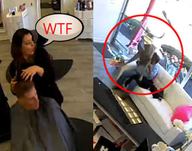 【有片】《爆窗闖進理髮店的鹿》日本網友表示這在奈良不就是日常嗎(誤)