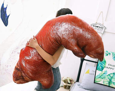 肉食系的療癒《豬腳抱枕》想要做個香甜美夢今晚就靠它