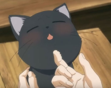 《日文貓叫聲研究》喵喵叫的歷史只有400年？更早之前是年年叫和捏嗚叫……