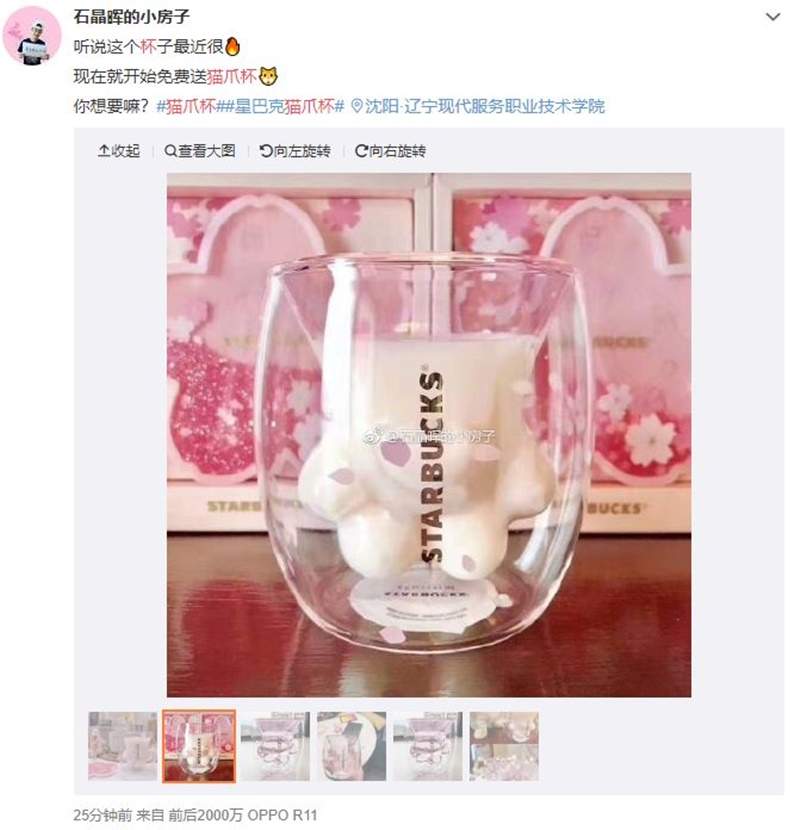 中国星巴克《猫爪杯》大热销一杯难求 网友只好自制猫爪杯补足买不到的遗憾惹w - 图片13 中国星巴克《猫爪杯》大热销一杯难求 网友只好自制猫爪杯补足买不到的遗憾惹w