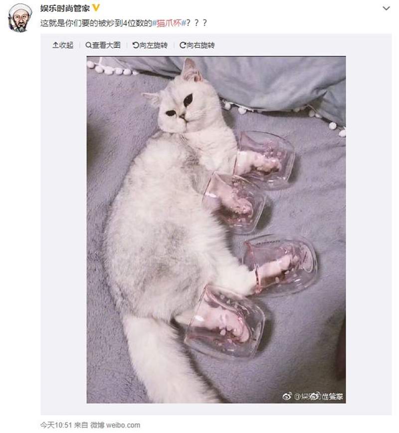 中国星巴克《猫爪杯》大热销一杯难求 网友只好自制猫爪杯补足买不到的遗憾惹w - 图片14 中国星巴克《猫爪杯》大热销一杯难求 网友只好自制猫爪杯补足买不到的遗憾惹w