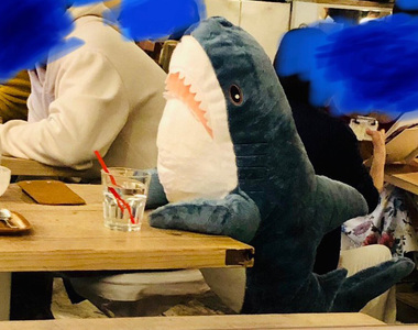 爆紅的《IKEA鯊魚抱枕》店員也給了鯊魚一杯水www