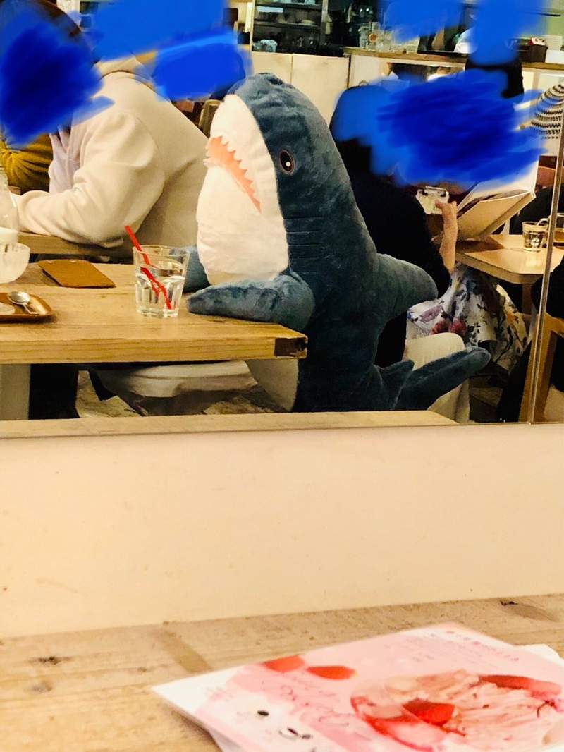 爆红的《IKEA鲨鱼抱枕》店员也给了鲨鱼一杯水www - 图片7 爆红的《IKEA鲨鱼抱枕》店员也给了鲨鱼一杯水www