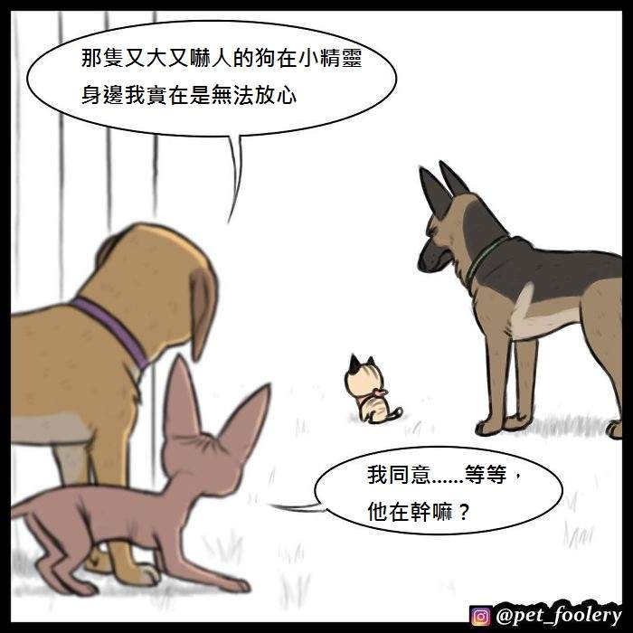 軍犬與家貓 最新漫畫這次揭曉了一點點大狗的過去 軍犬與家貓 最新漫畫這次揭曉了一點點大狗的過去