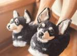 Cuddle Clones《寵物拖鞋》超逼真成品讓人以為自己多養隻毛孩w Cuddle Clones《寵物拖鞋》超逼真成品讓人以為自己多養隻毛孩w