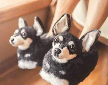 Cuddle Clones《寵物拖鞋》超逼真成品讓人以為自己多養隻毛孩w