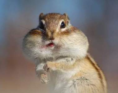 這個有猛《看了覺得很厲害的GIF》網友募集之精華值得你永久保存