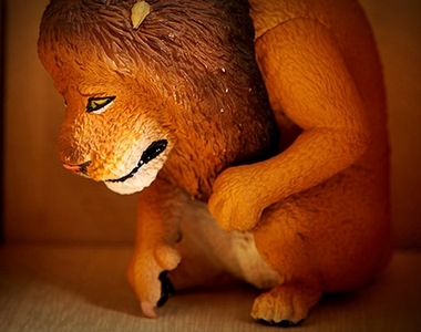雖小臉動物盒玩《可不可以不勇敢》兇猛禽獸的內心也有柔軟傷心處,默默縮在角落畫圈圈…