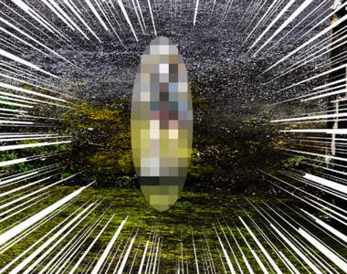 《路上的恐怖光景》到底誰這麼有空在路中間做一個這樣的東西呢？