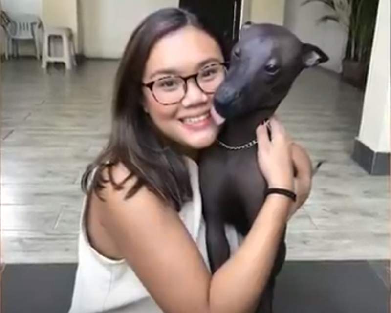 稀有犬種《墨西哥無毛犬Piper》每個人看到都問:是狗還是雕像阿? - 圖片3 稀有犬種《墨西哥無毛犬Piper》每個人看到都問:是狗還是雕像阿? - 圖片3