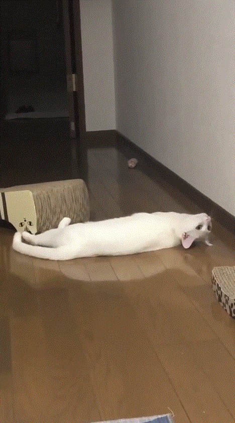 圖片2 圖片2