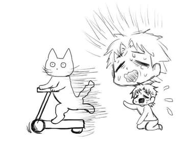 【有效?】《家貓走失的尋獲方法》如此神奇的方法不知道可不可以算得上都市傳說了