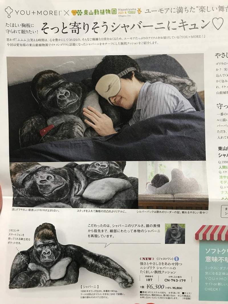圖片2 圖片2