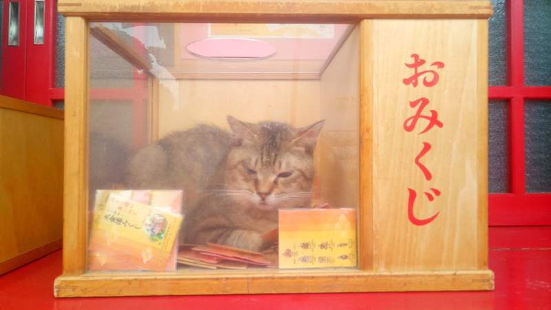 圖片2 圖片2