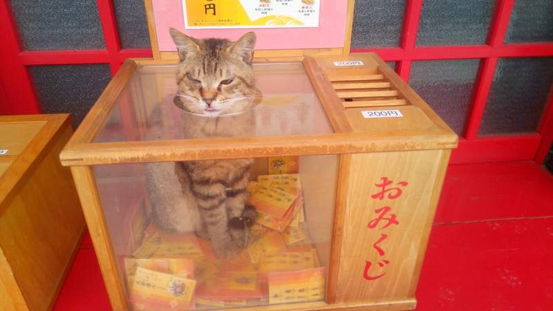 圖片3 圖片3