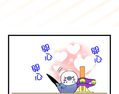 小鸚鵡飼養日記 第82話