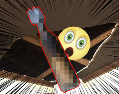 19號颱風哈吉貝《超強威力讓網友家中掉出迫擊砲彈》這還真是意想不到的禮物啊(汗)