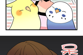 小鸚鵡飼養日記 第84話 小鸚鵡飼養日記 第84話