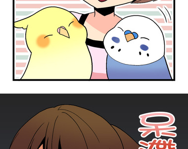 小鸚鵡飼養日記 第84話