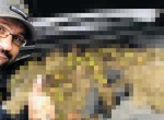 打開引擎蓋大傻眼《車引擎被核桃淹沒》糟糕 松鼠冬眠的食物被清掉了...... 打開引擎蓋大傻眼《車引擎被核桃淹沒》糟糕 松鼠冬眠的食物被清掉了......
