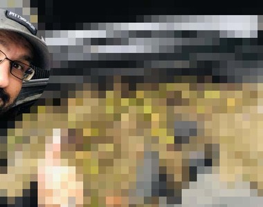 打開引擎蓋大傻眼《車引擎被核桃淹沒》糟糕 松鼠冬眠的食物被清掉了......