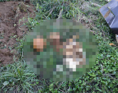 閱覽注意《夾帶人骨的土石流》強颱過境推民在自家車棚驚見骷顱頭...џ(ºДºџ)