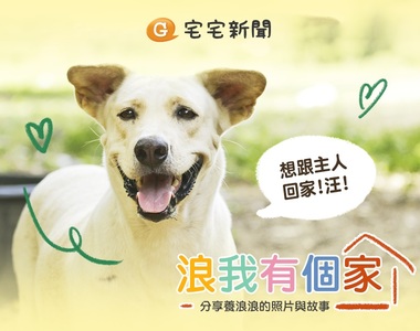 LINE貼文串《浪我有個家》謝謝收養浪浪的好心人 孩子們看起來都好幸福