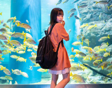 校園正妹選拔驚見合法蘿莉《大渕野野花》146公分的身高彷彿國中生混進女大生中...