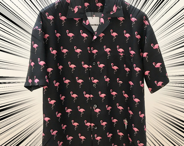 衣服上的找錯遊戲？《紅鶴襯衫》買回家驚見裡面竟然躲著一個怪叔叔ww