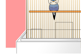 小鸚鵡飼養日記 第87話