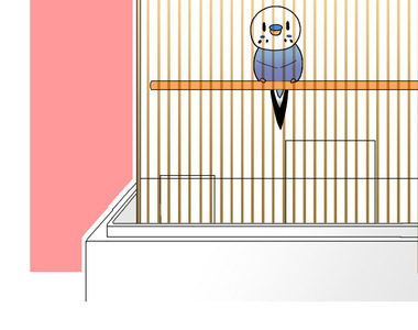 小鸚鵡飼養日記 第87話